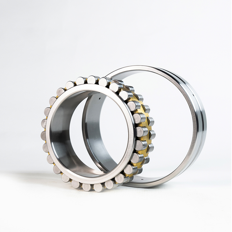 Double Row Cylindrical Roller Bearings